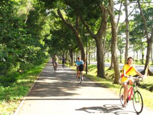 Eastern Coastal Loop