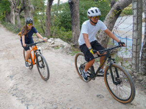 Upright gravel shop bike