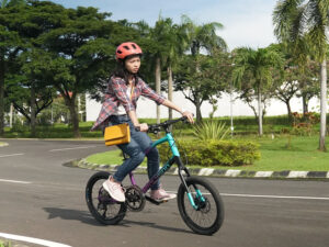 Compact Mini Velo To Use Riding Around In Singapore