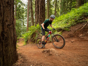 Tips Before You Buy MTB, On Frame: Marin Mountain Bike