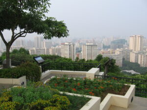 Mount Faber View