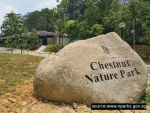 Chestnut Nature Park