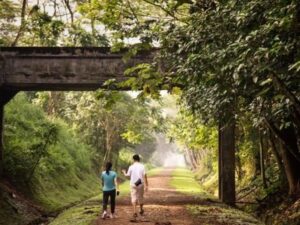 Rail Corridor