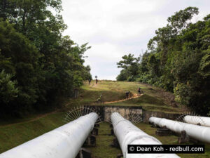 Bukit Timah Bike Trail