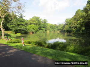 Kent Ridge MTB Trail