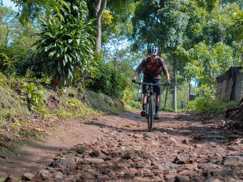 skills in cycling