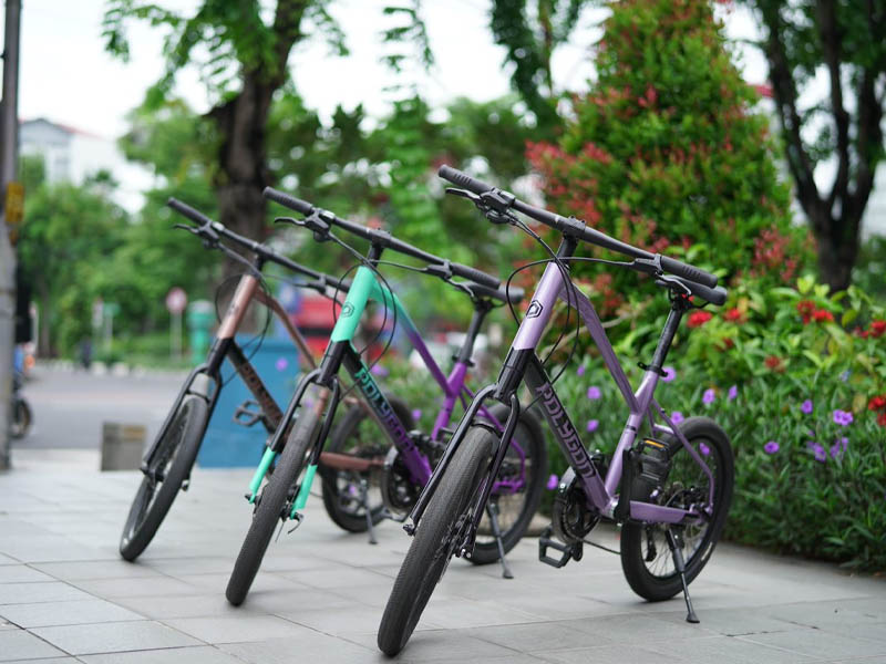 Mini Velo Singapore: Complete Guide for Beginners!