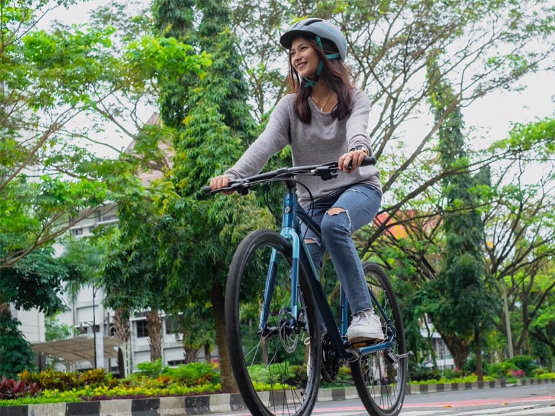 City Bike Singapore, Complete Guide to Buy Your First Bike!