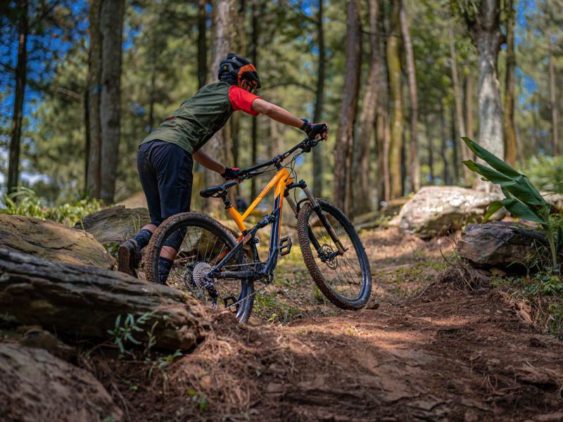Polygon Mountain Bike Review, Which One Worth Your Money?