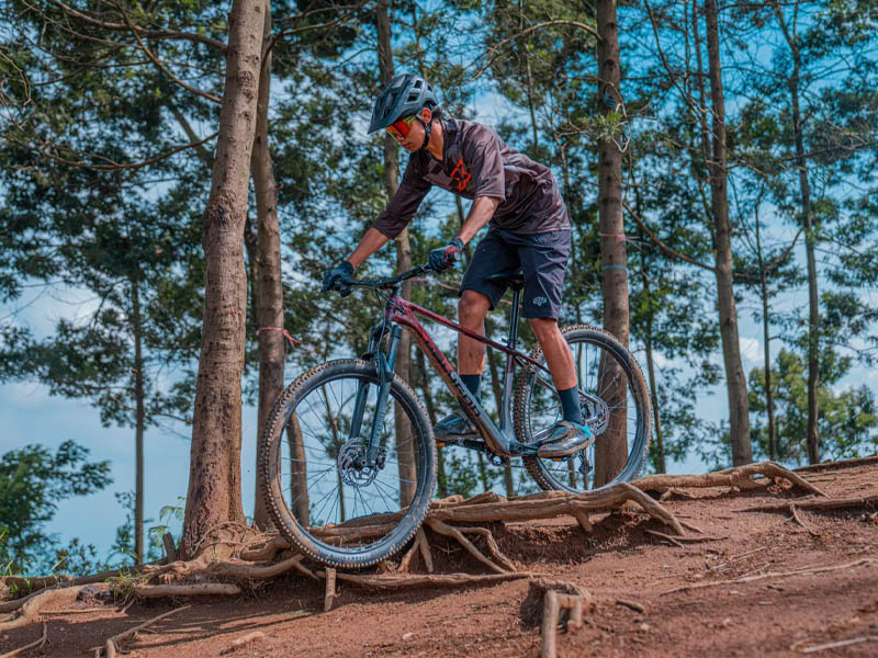 Mountain Bike Beginner Tips, Technique and Gear Set Up Rodalink