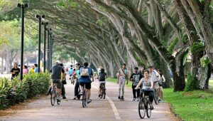 Cycling at East Coast Park