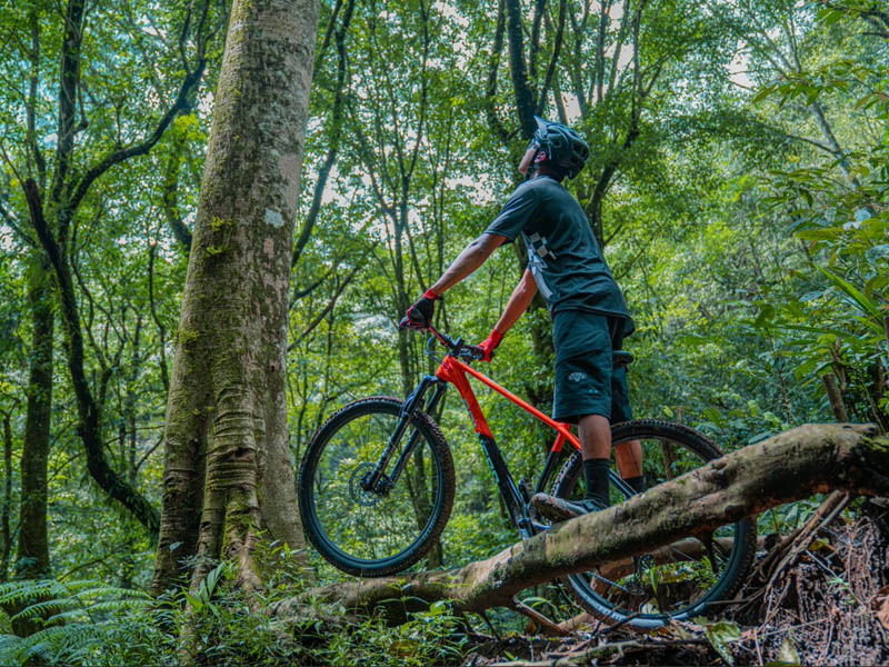 Mountain Bike Beginner Tips, Technique and Gear Set Up Rodalink