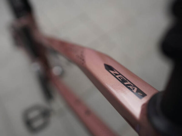 frame minivelo alloy