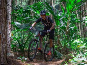 What is a Hardtail Cross-country Bike?