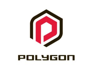 Why Polygon Mountain Bike?