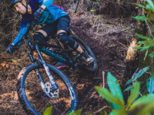 A mountain biker extremely descending the challenging forest tracks