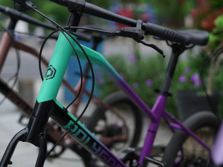 mini velo frame size