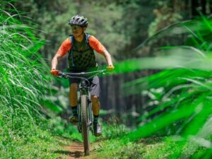 Mountain Bike Protective Gear That You Should Know Rodalink