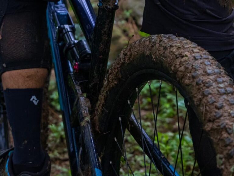 Polygon Bikes Review Which Bike Suits You and Best for You Rodalink