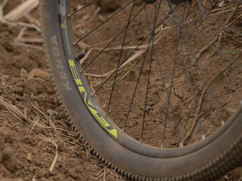 Can I Use Mountain Bike On The Road in Singaporean City? Rodalink