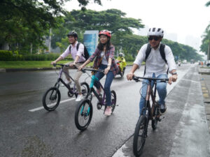 Reason Why Mini Velo Bike You Must Have, Small but Steady! - Rodalink