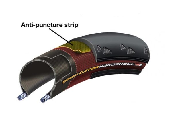 The Anatomy of Road Bike Tire Parts that You Should Know - Rodalink