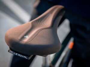 Find Saddle with the Right Shape