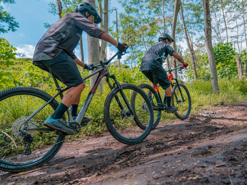 Polygon Bikes Review Which Bike Suits You and Best for You Rodalink