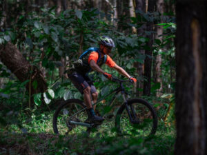 What's a hardtail online bike