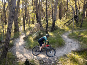 Best Mountain Biking Trails in Singapore