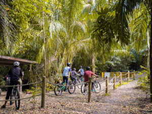 Chestnut Nature Park