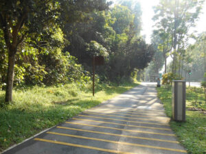 Bukit Timah Mountain Bike Trail