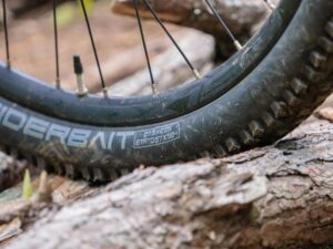 Tire for Mountain Bike