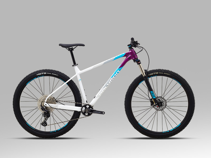 Mtb polygon online xtrada