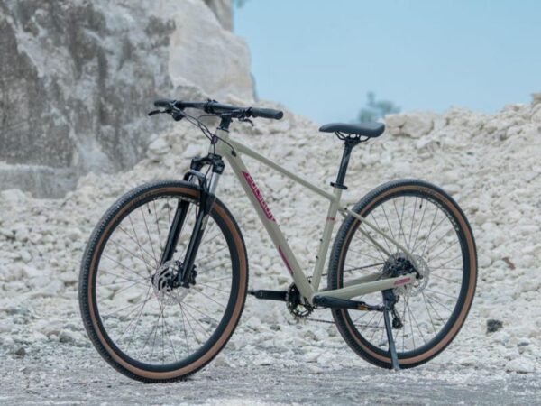 hybrid bike frame