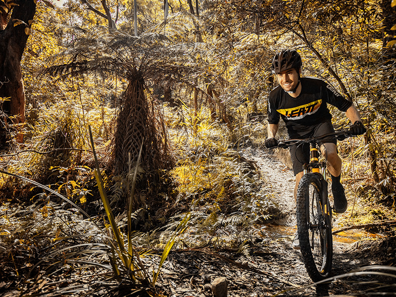Polygon Premier 5 Review, Must Have This Mountain Bike