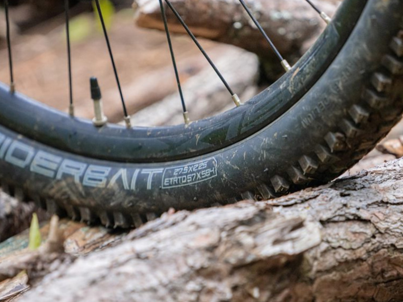 Road Bike Maintenance, Best Tips You Need To Know Rodalink