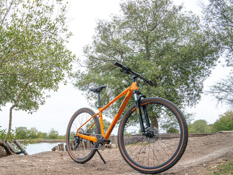 Hybrid Bike vs Road Bike Which One to Go With? Rodalink