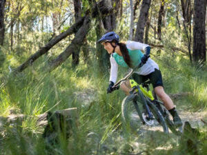 2. Mountain Bikes