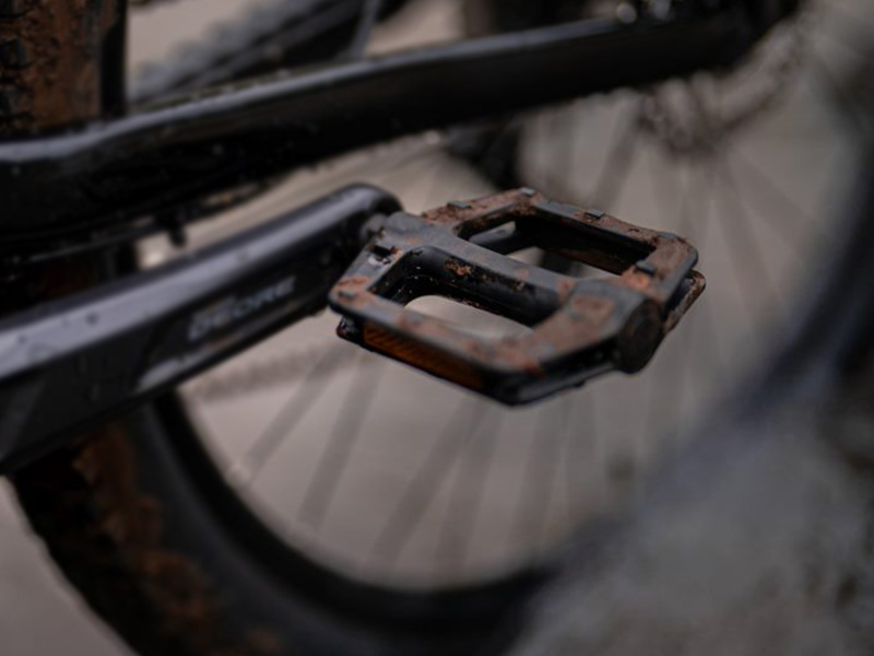 Road Bike Maintenance, Best Tips You Need To Know Rodalink