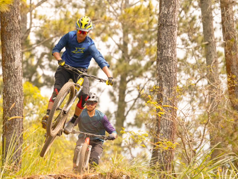 The Hardtail Mountain Bike: An Introduction