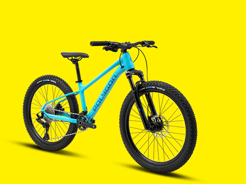 Best Polygon Kids Mountain Bikes That Your Kid Must Have