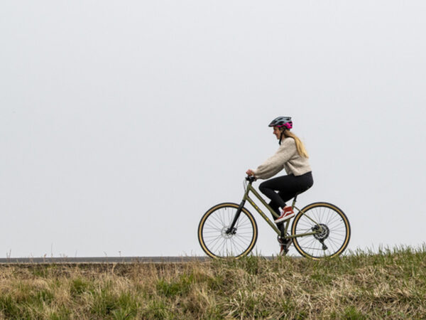 ladies marin hybrid bike