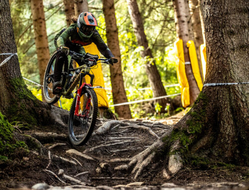 5 Mountain Bike Types Explained