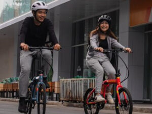 Types of Folding Bike