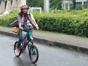 4. City Bike