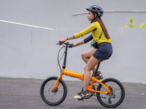 5. Folding Bike