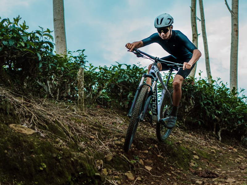 Complete Guide on How to Choose A Mountain Bike