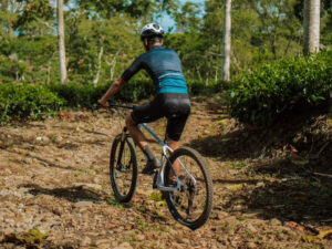 Basikal mountain bike online untuk beginner