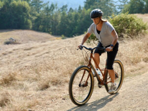 Marin Larkspur City Bike